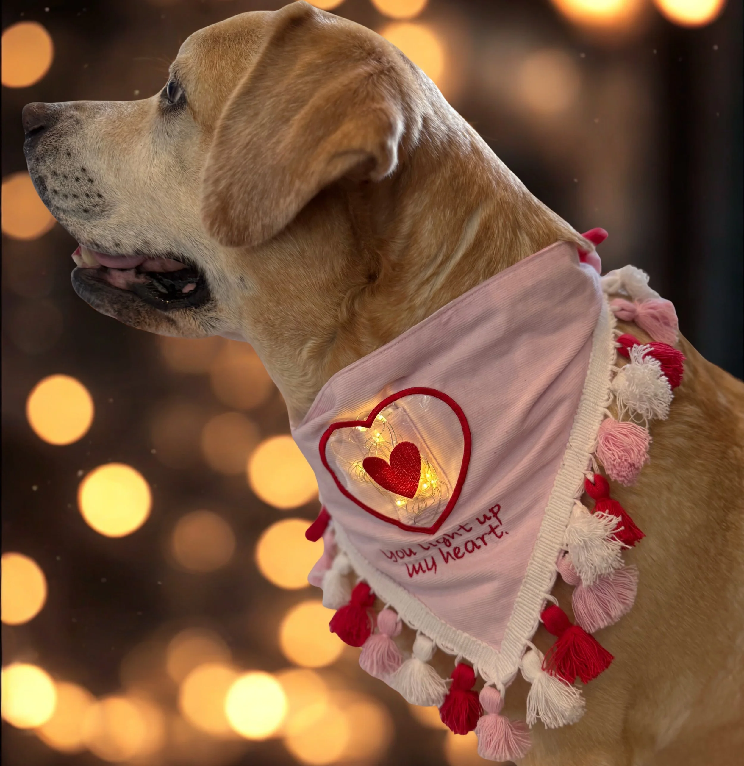 You Light Up My Heart Bandana