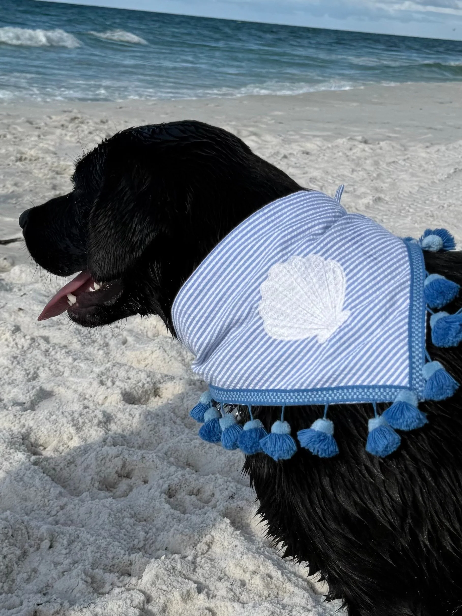 Scallop Shell Stripe Dog Bandana