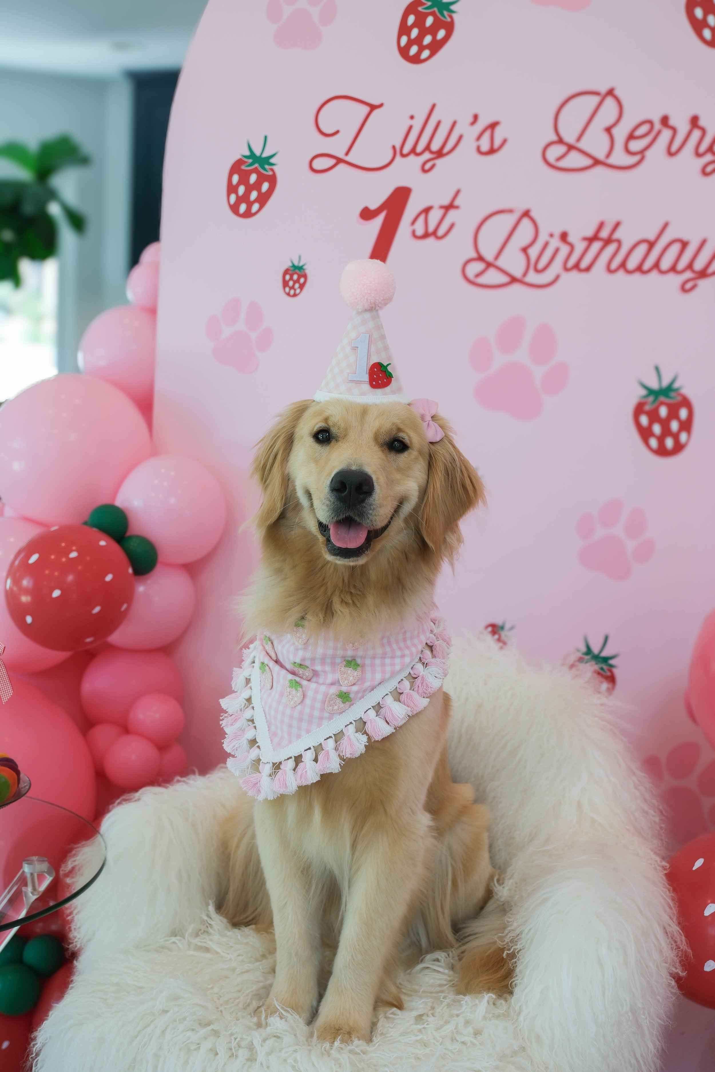 Lily's Sweet Strawberry Bandana
