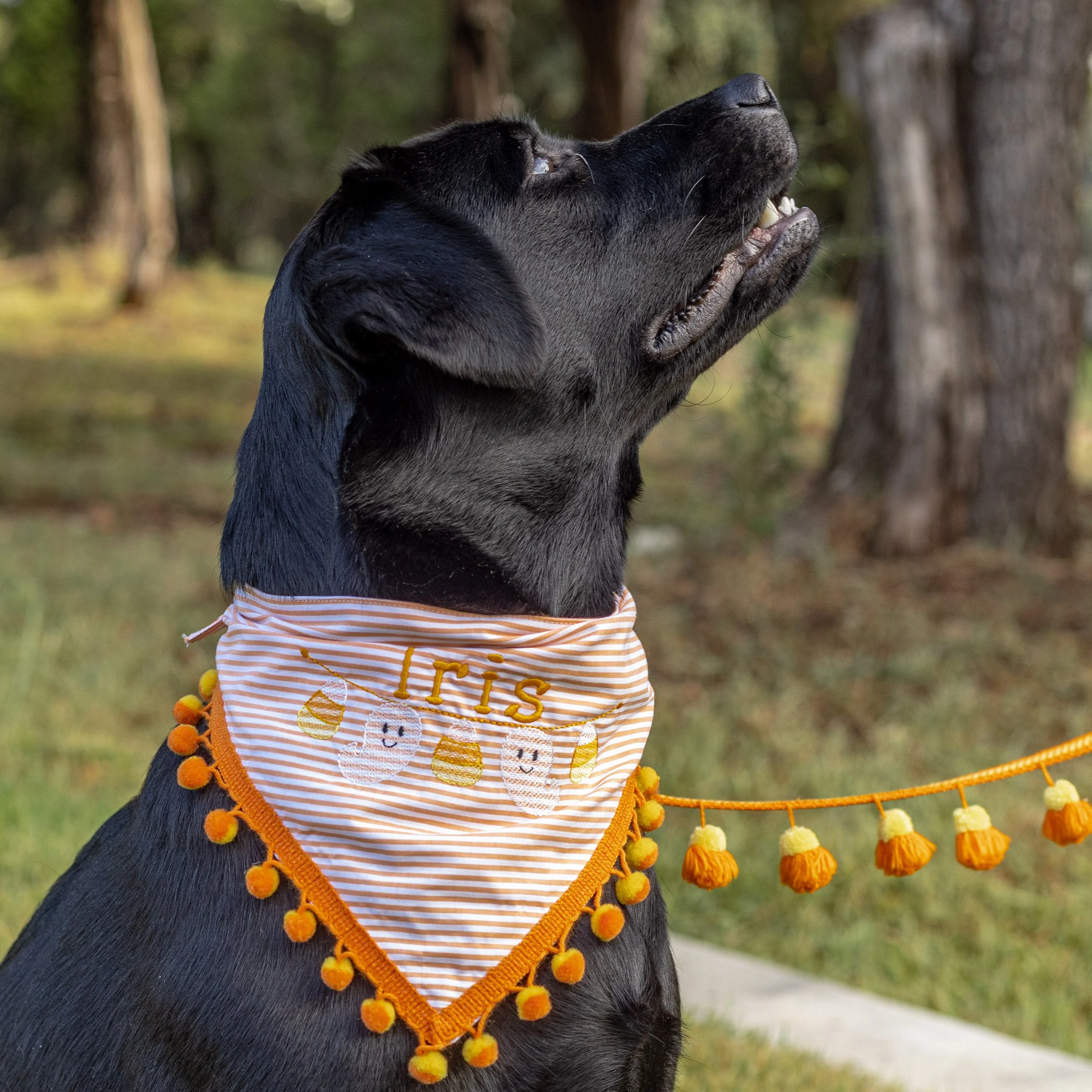 Candy Corn and Ghosts Monogrammed Bandana