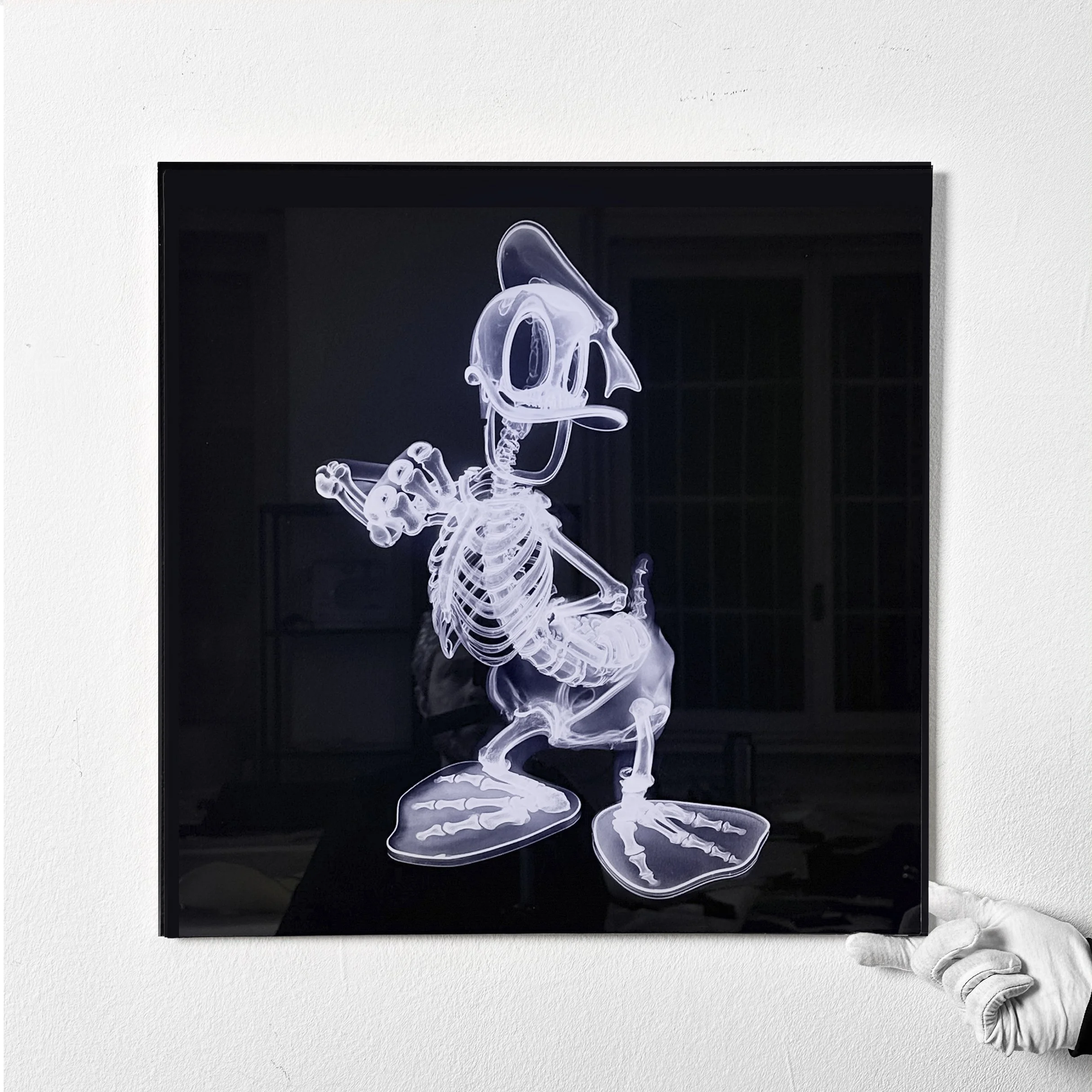 Donald - Xray