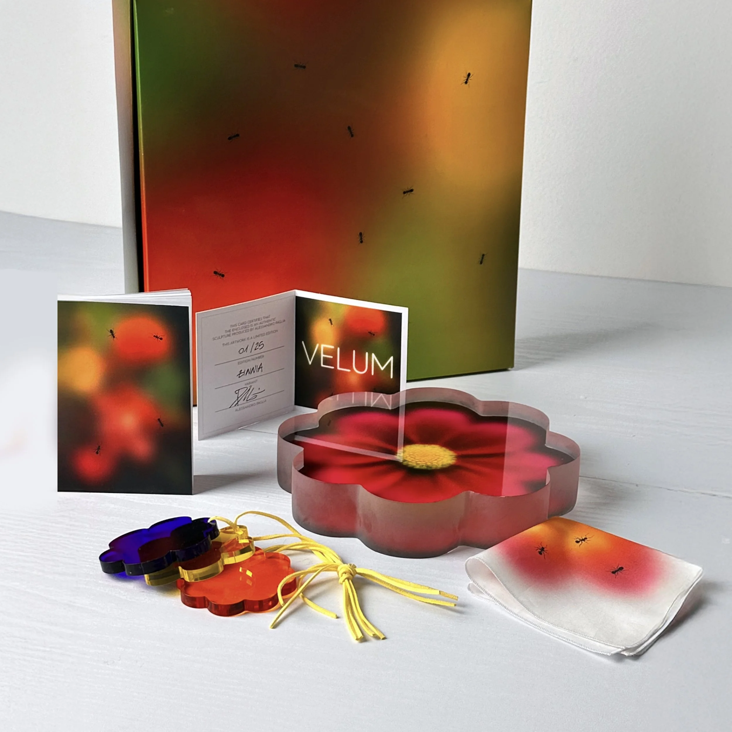 box4 copia squared.jpg