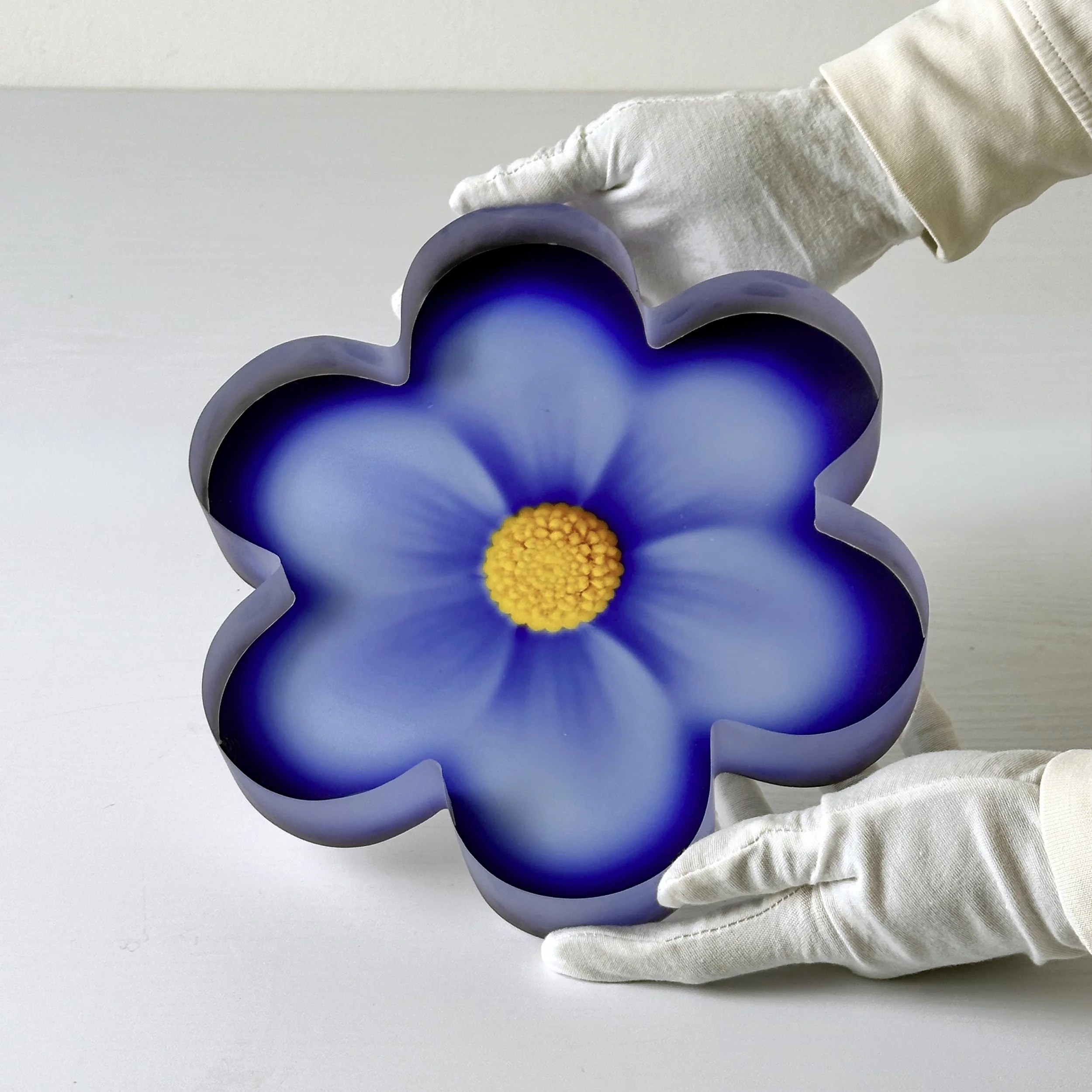 glove1 copia squared.jpg