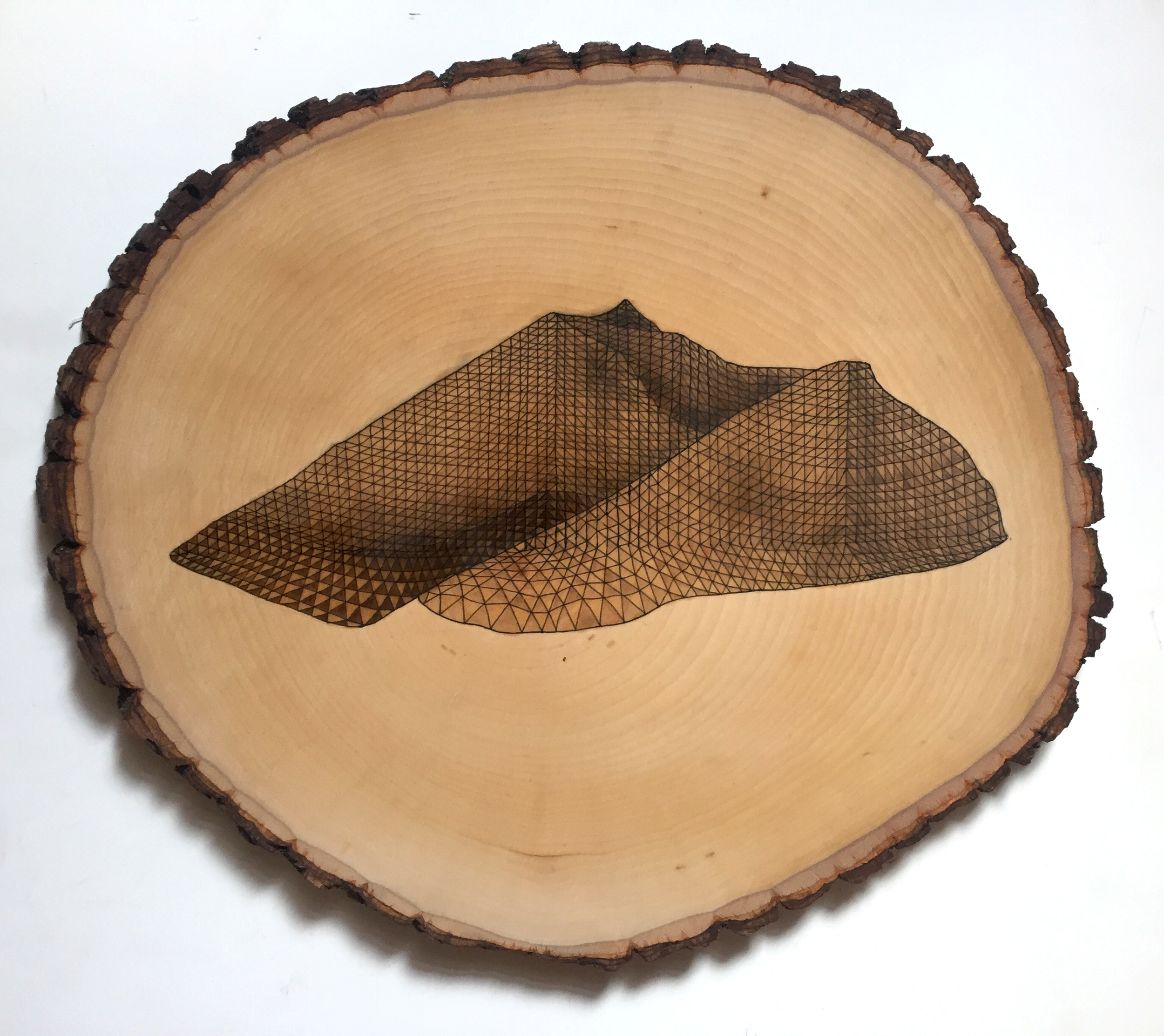 Humboldt | 9"x12", pen & wood stain on basswood round | 2016 | $130