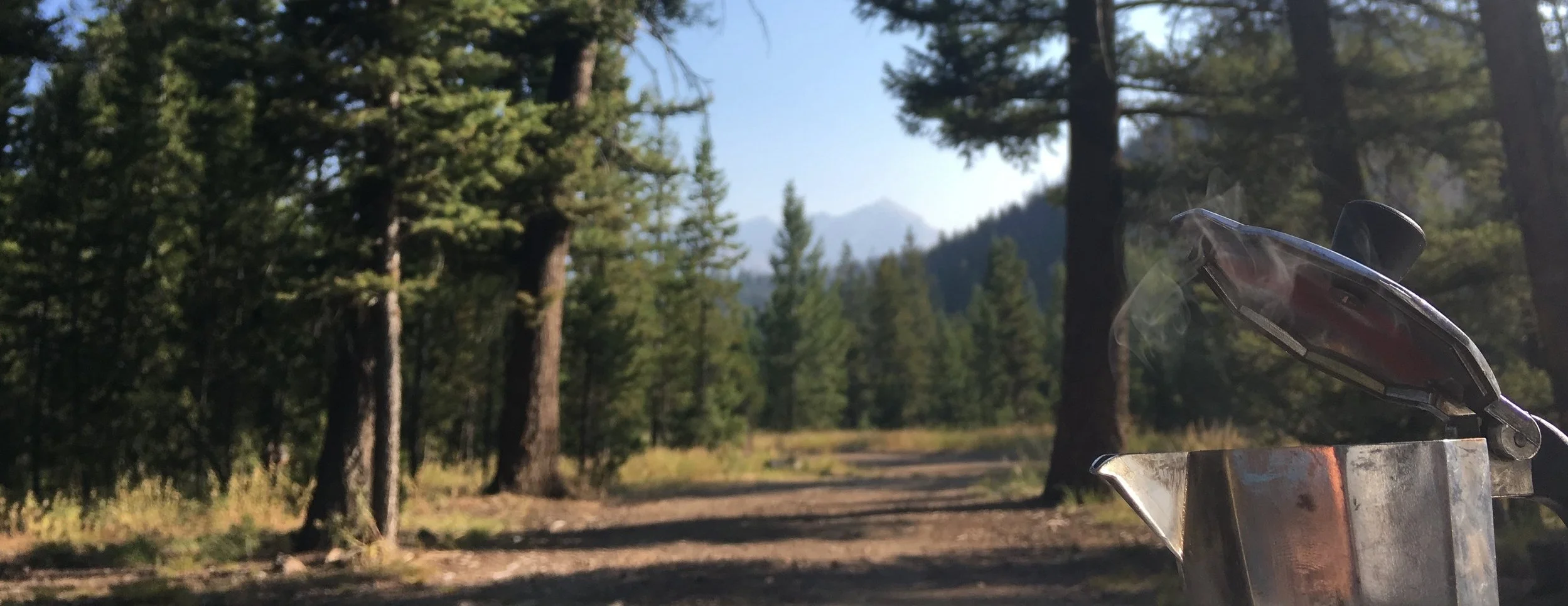 Old Pine Coffee Roasters Local Partners