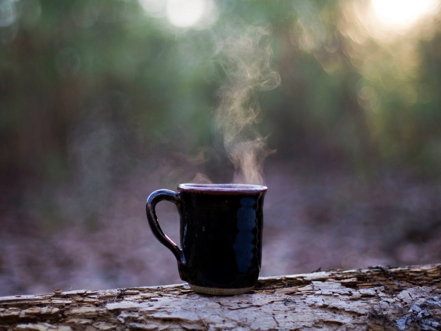 Old Pine Coffee Roasters Contact Us