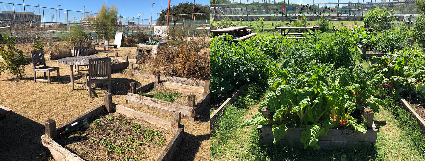 The Garden - Before and After