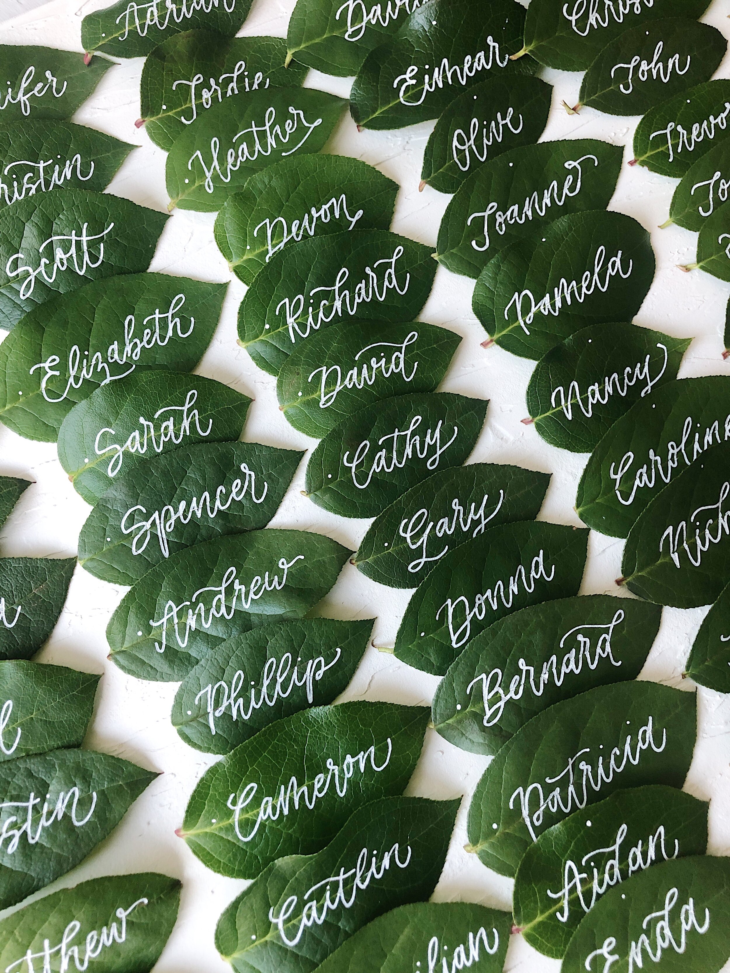 Calligraphy names on leaves as place cards for a Toronto wedding