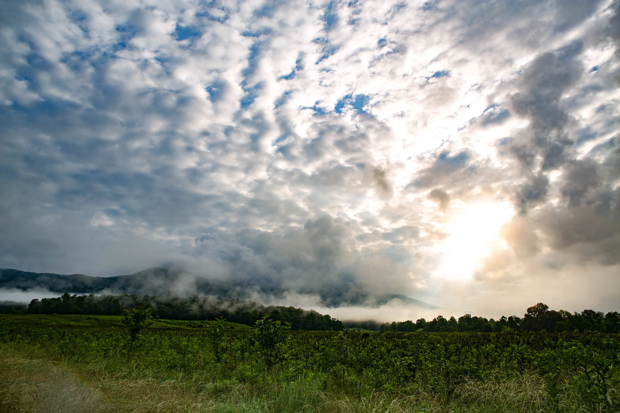 SmokiesJune5 (15 of 76).jpg