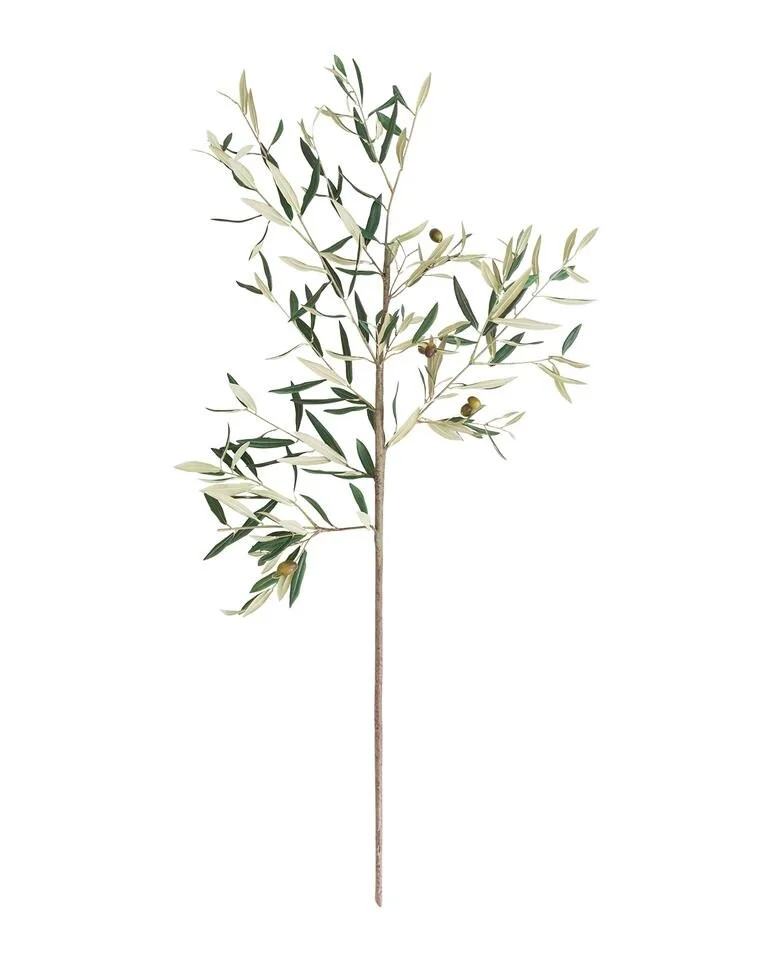 faux_tuscan_olive_stem2_960x960.jpg