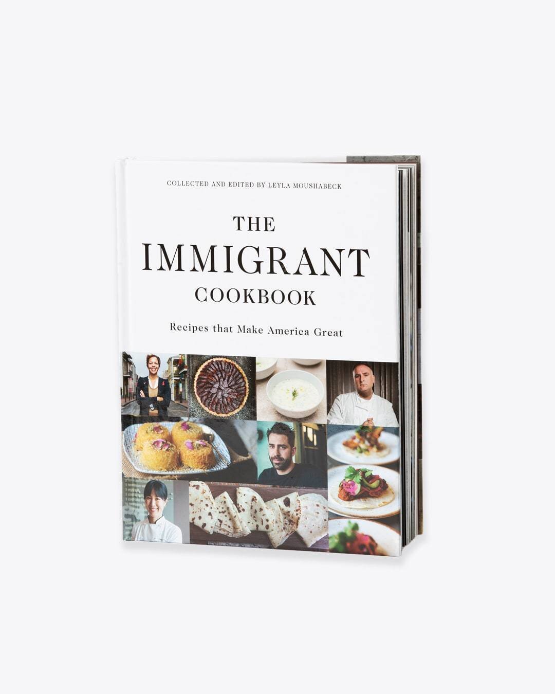 Immigrant.Cookbook.1_1100x.jpg