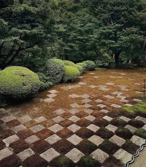 Molly's September Musings 