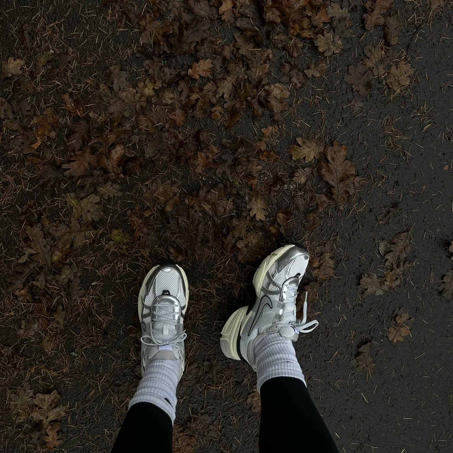 Molly's January Musings 