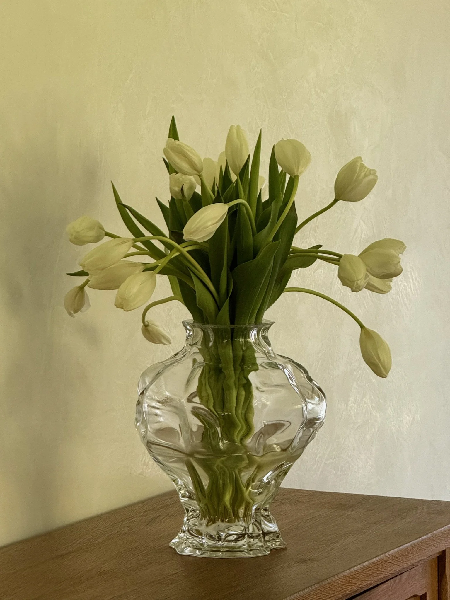 Molly's April Musings