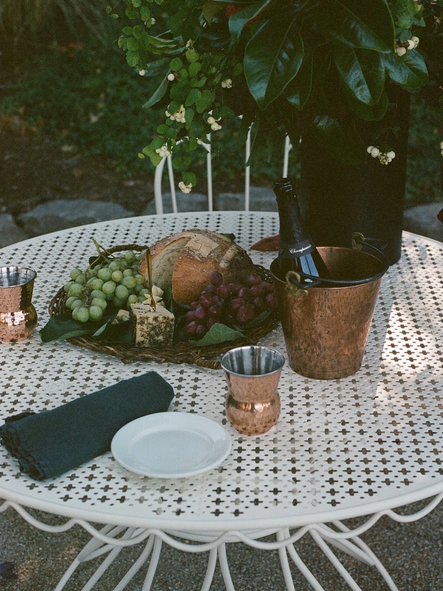 Autumn in the PNW never fails to deliver! This year came with golden leaves, crisp air, and&hellip; a little too much commitment from Julie during our @businessandpleasure_co shoot. Let&rsquo;s just say her foraging adventure turned into a full-blown