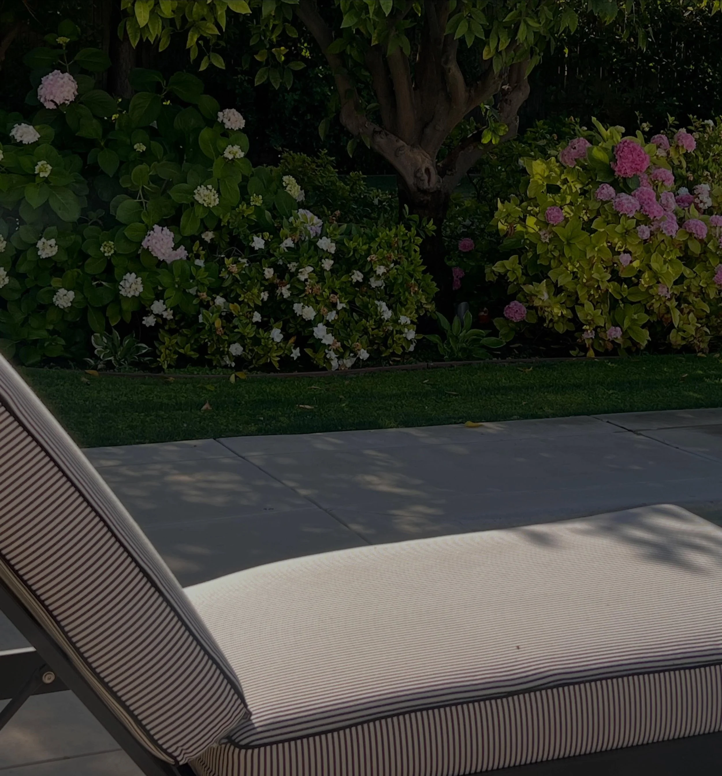 Feels like summer in California.