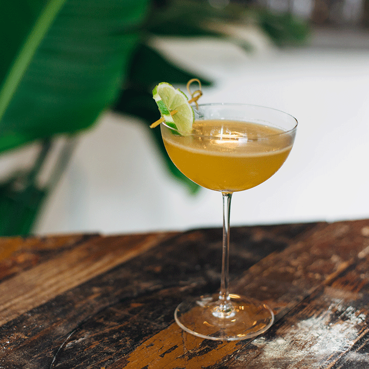 EditorialCocktails_Leftovers_2x_0003_TLC_RoyalBermudaYachtClub_160926_083.png