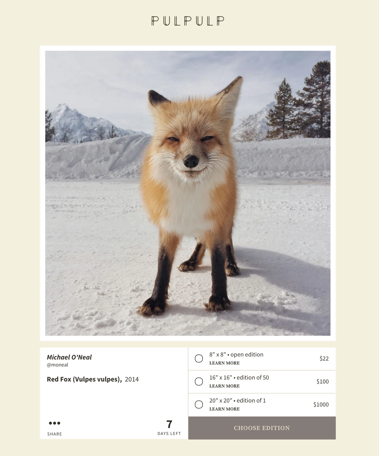 foxpulpulp.jpg
