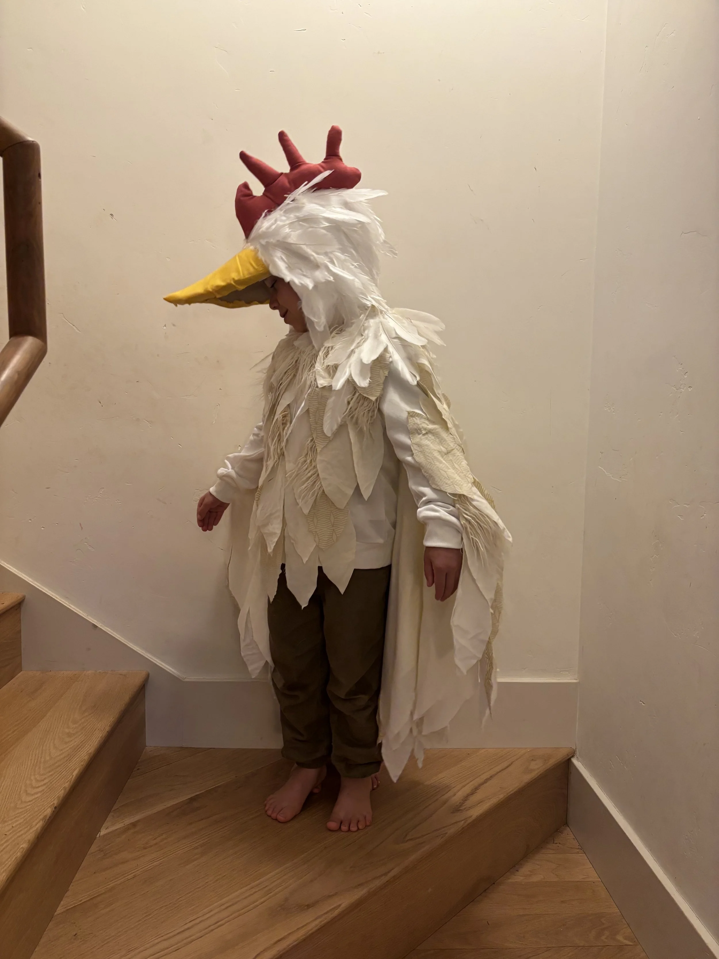 IMG_6993.jpeg