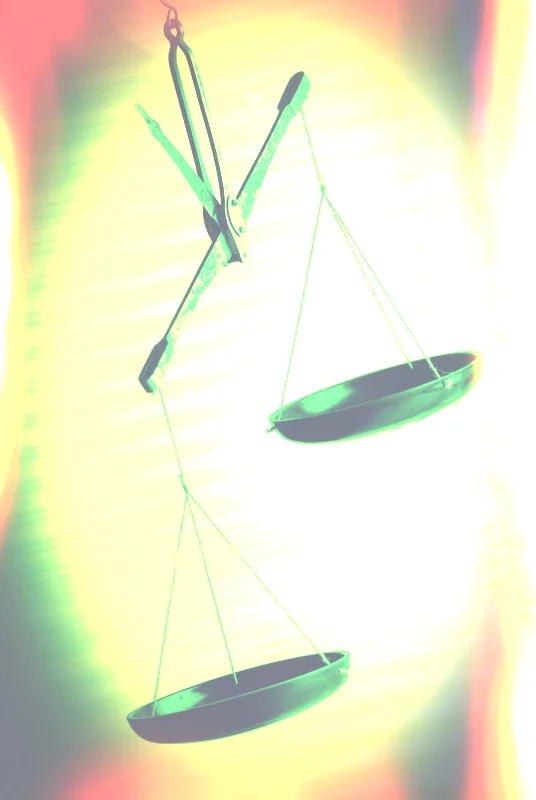 Judicial Mentoring Lunch - SOLD OUT