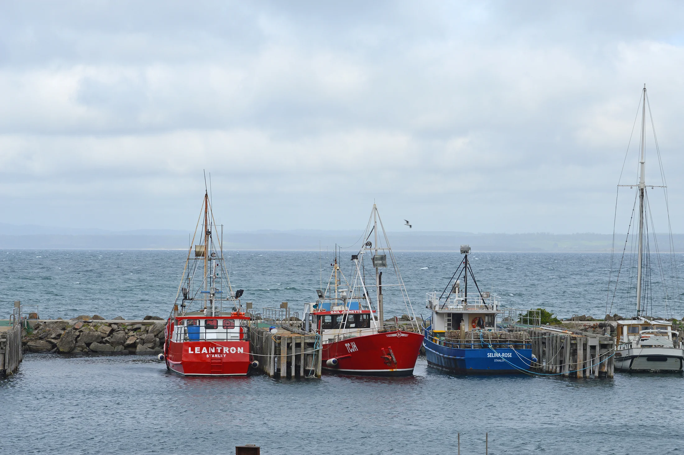 DSC_0764-b-smaller.jpg