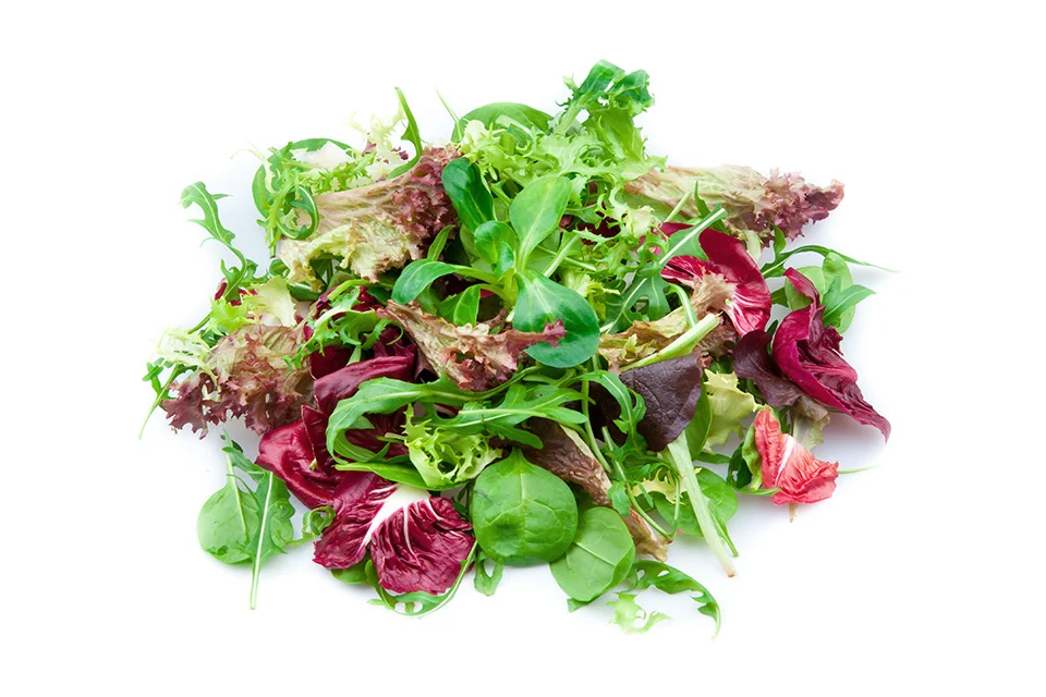 Spring-Mix.jpg