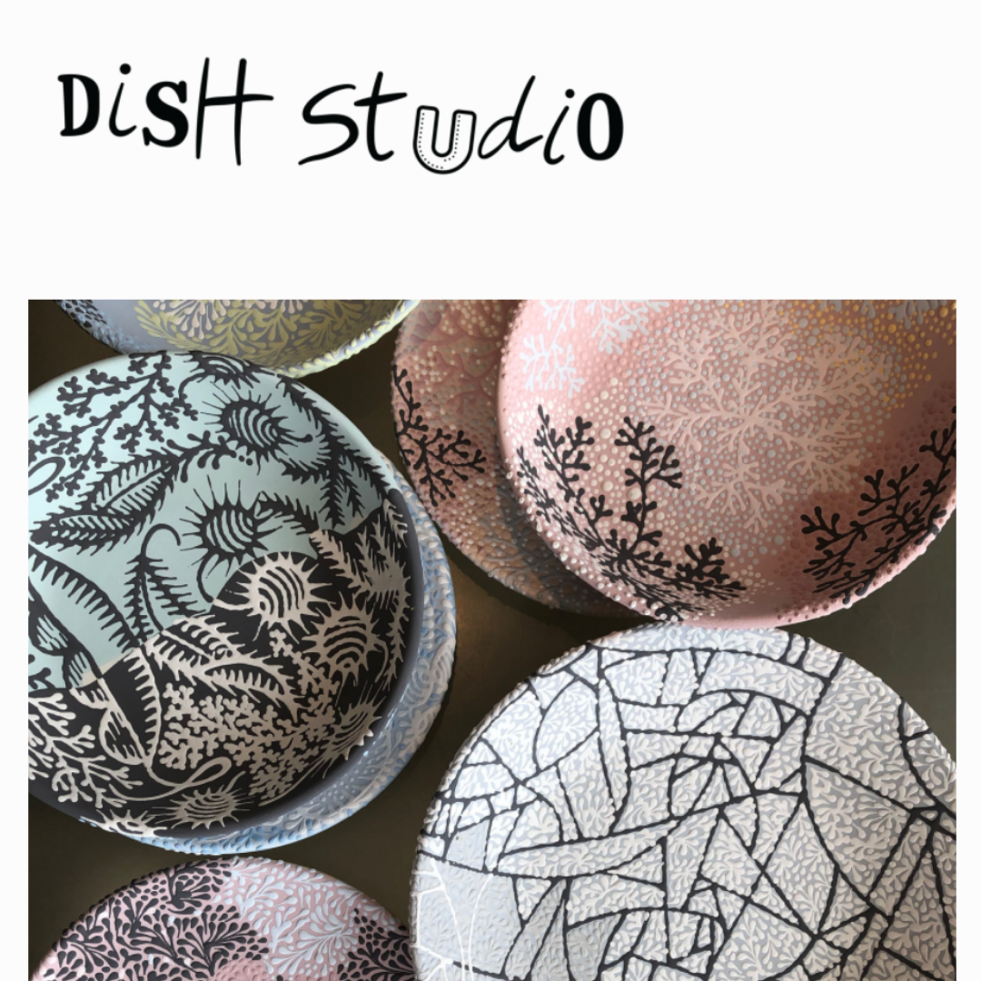 Dish Studio  (Copy)