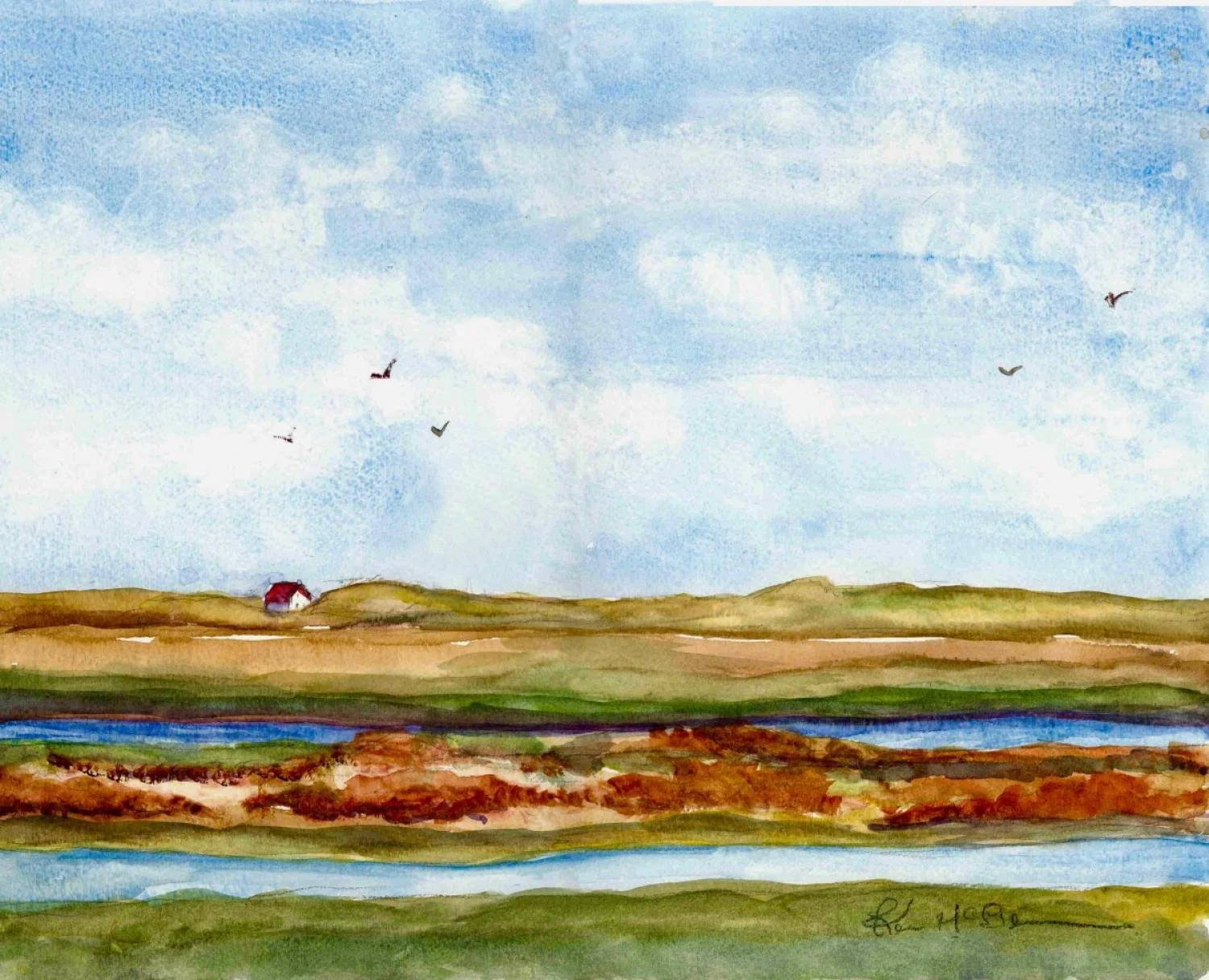 kevin website version 240k.jpg