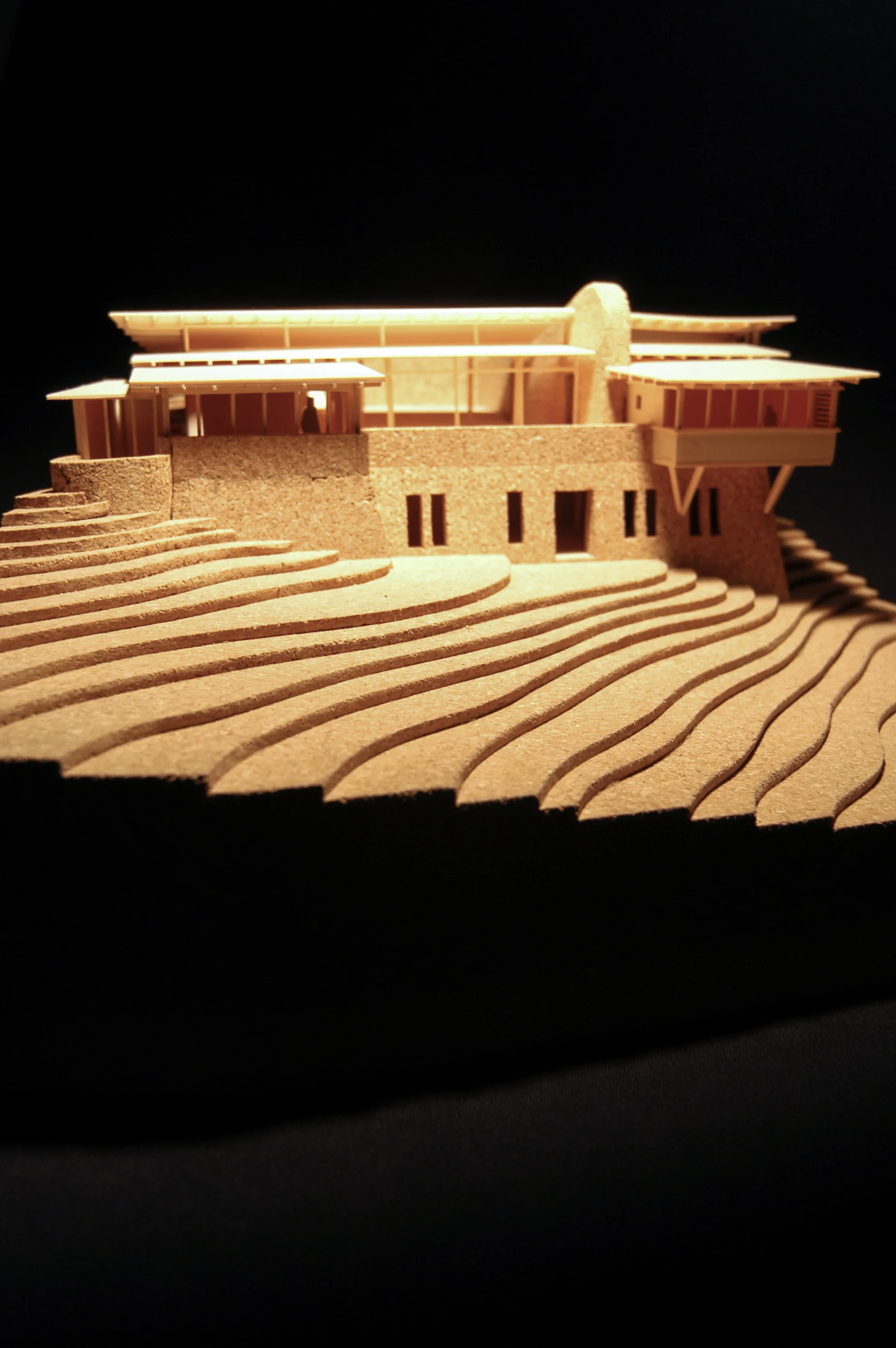 (8) Model.jpg