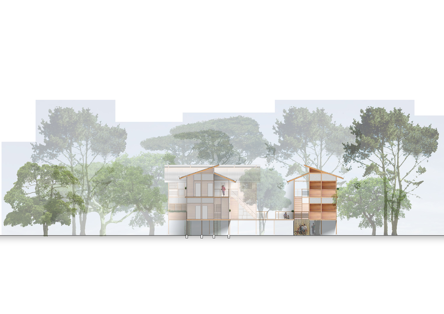 4_Module Elevation_Frank Chin.jpg