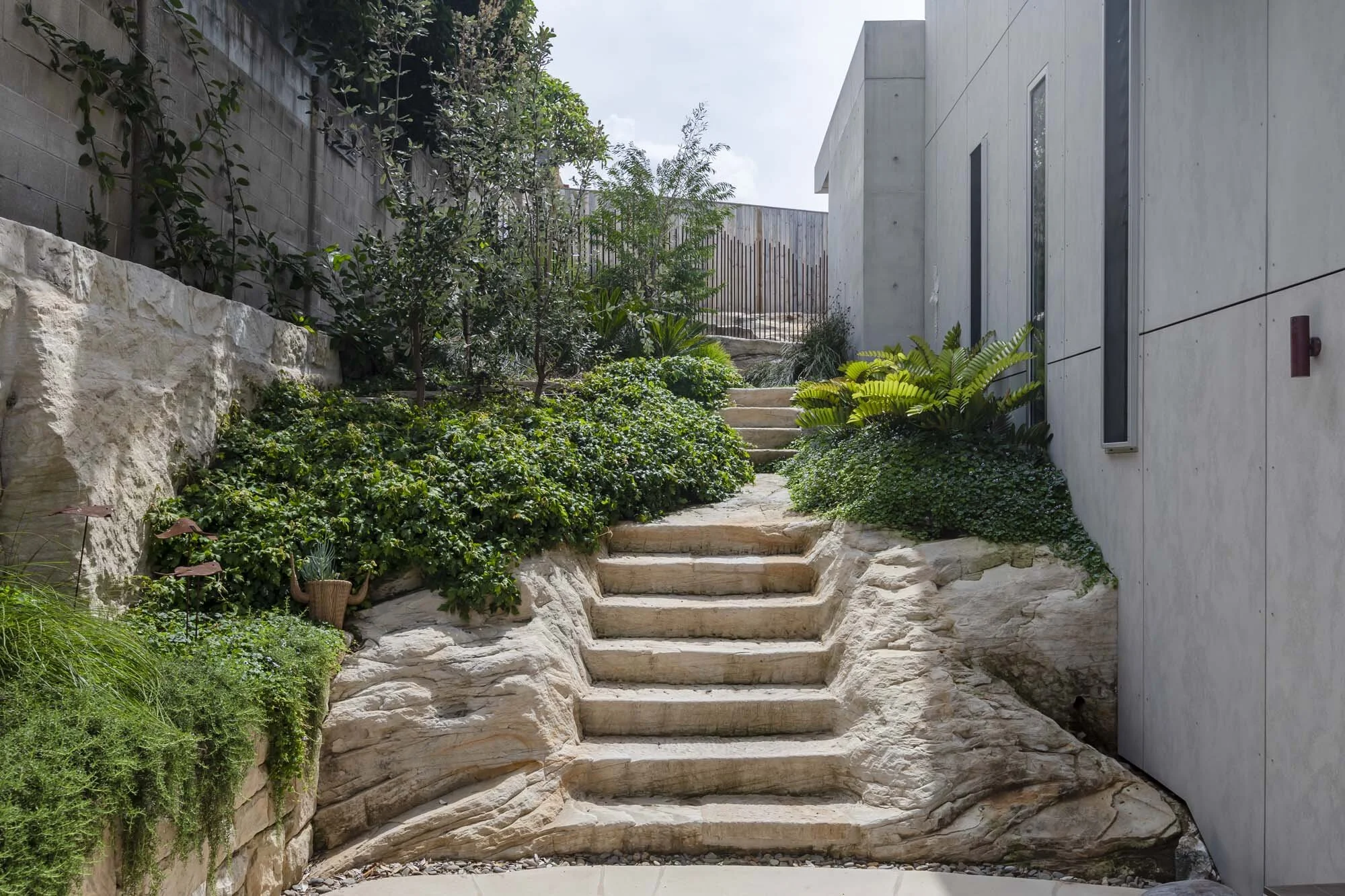 BunyaPde011.jpg