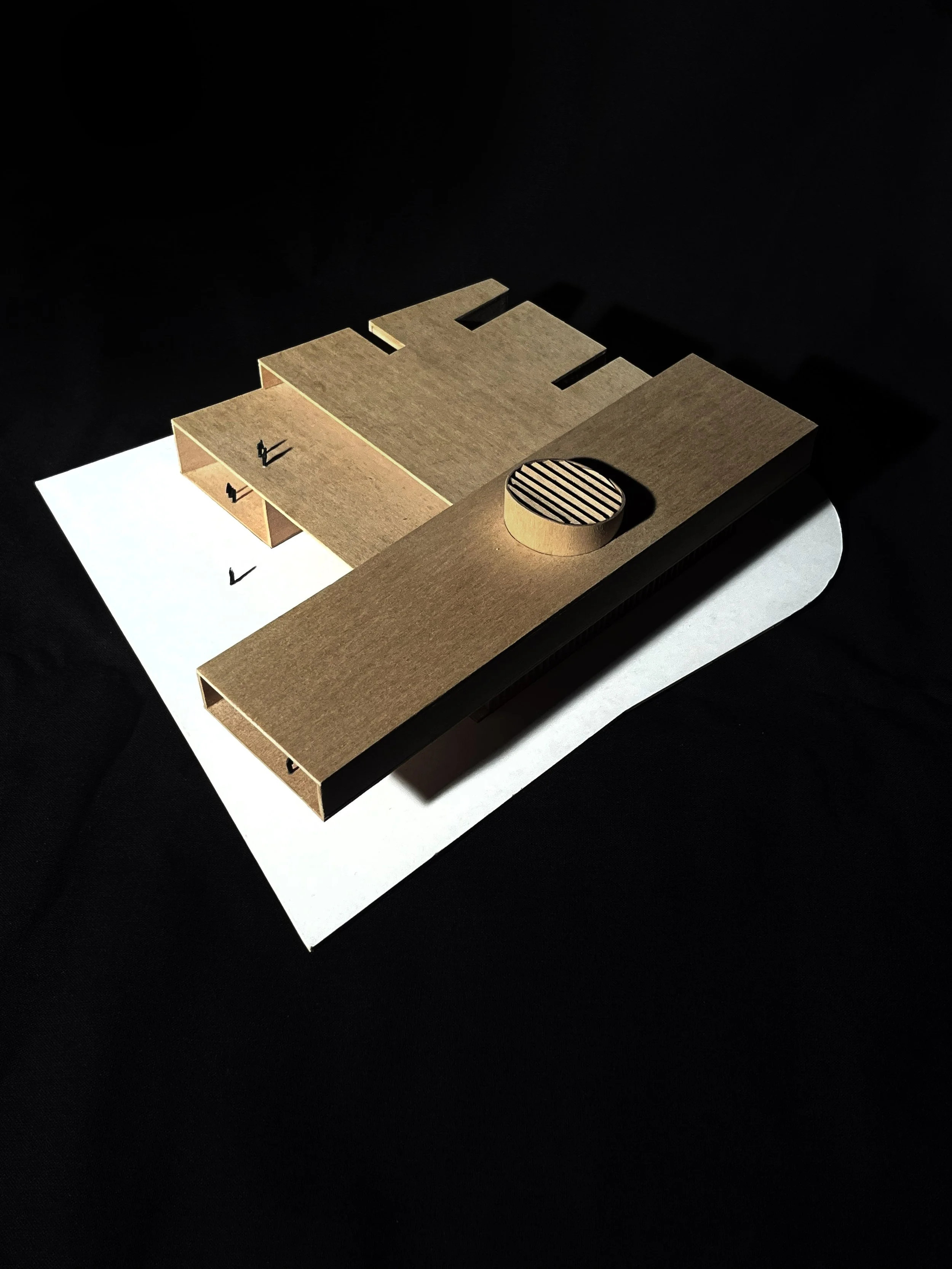 IMAGE 2[1].jpg