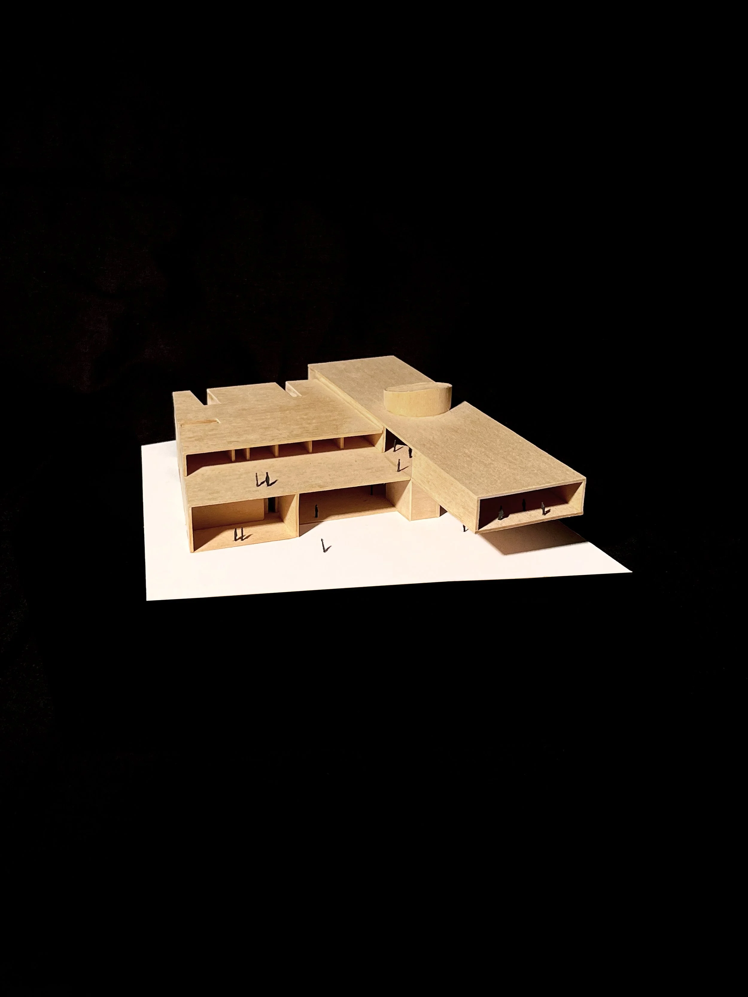 IMAGE 3[1].jpg