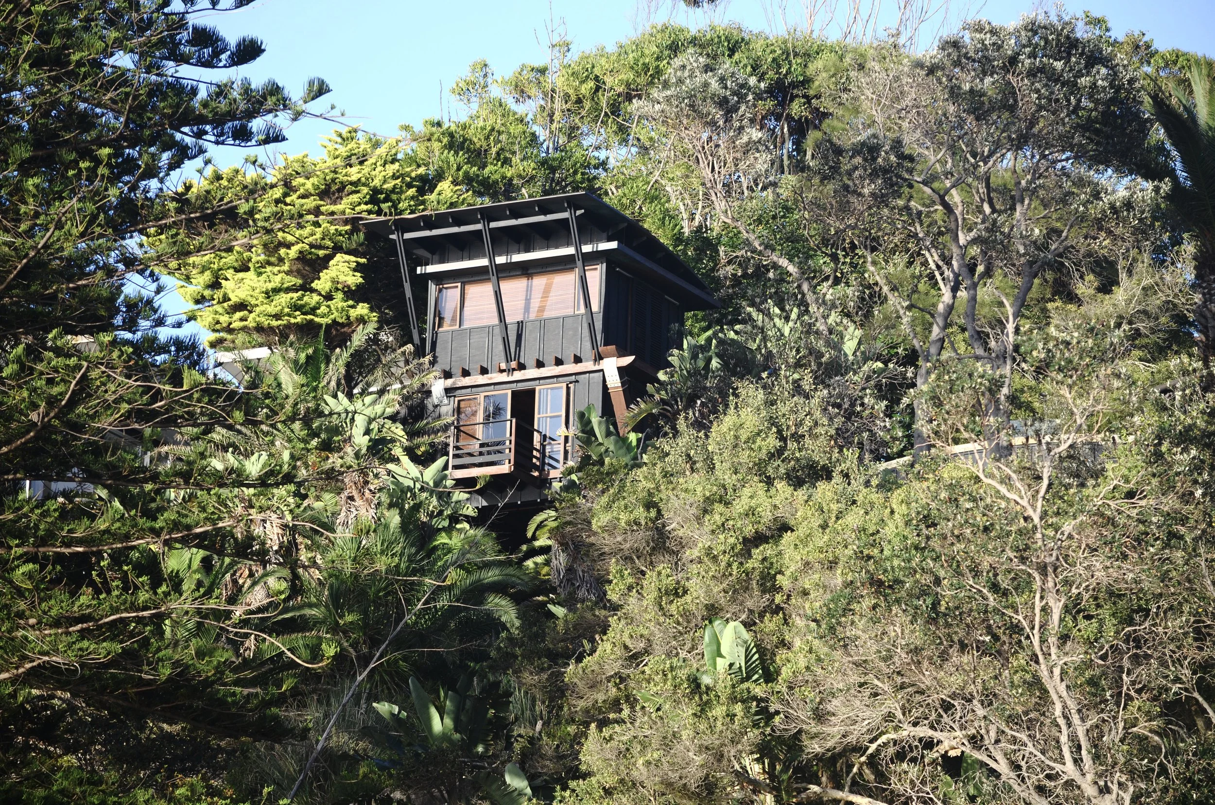 DSC_1051%5B80%5D Edited.JPG