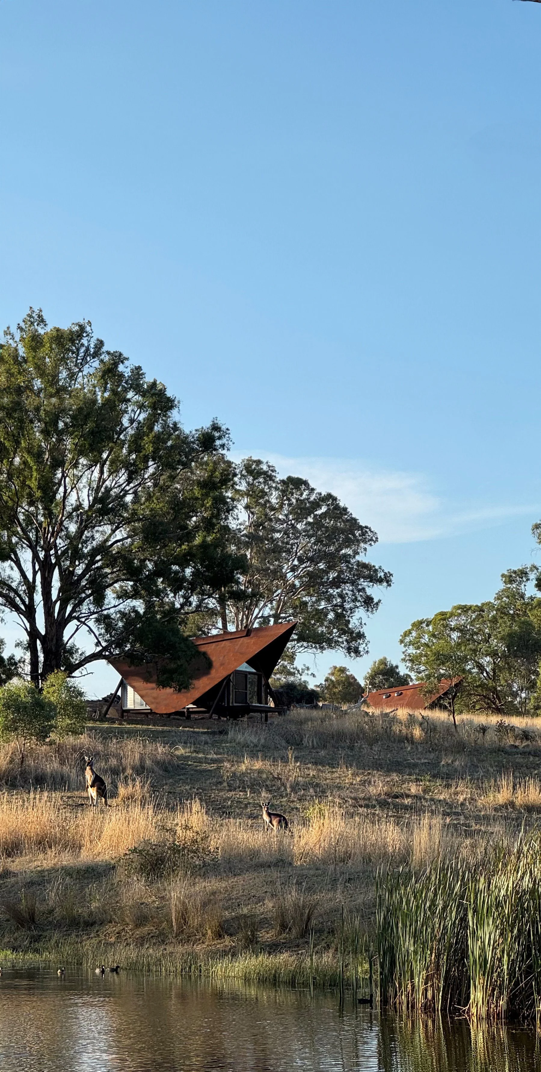 Permanent Camping III, Orange, 2025