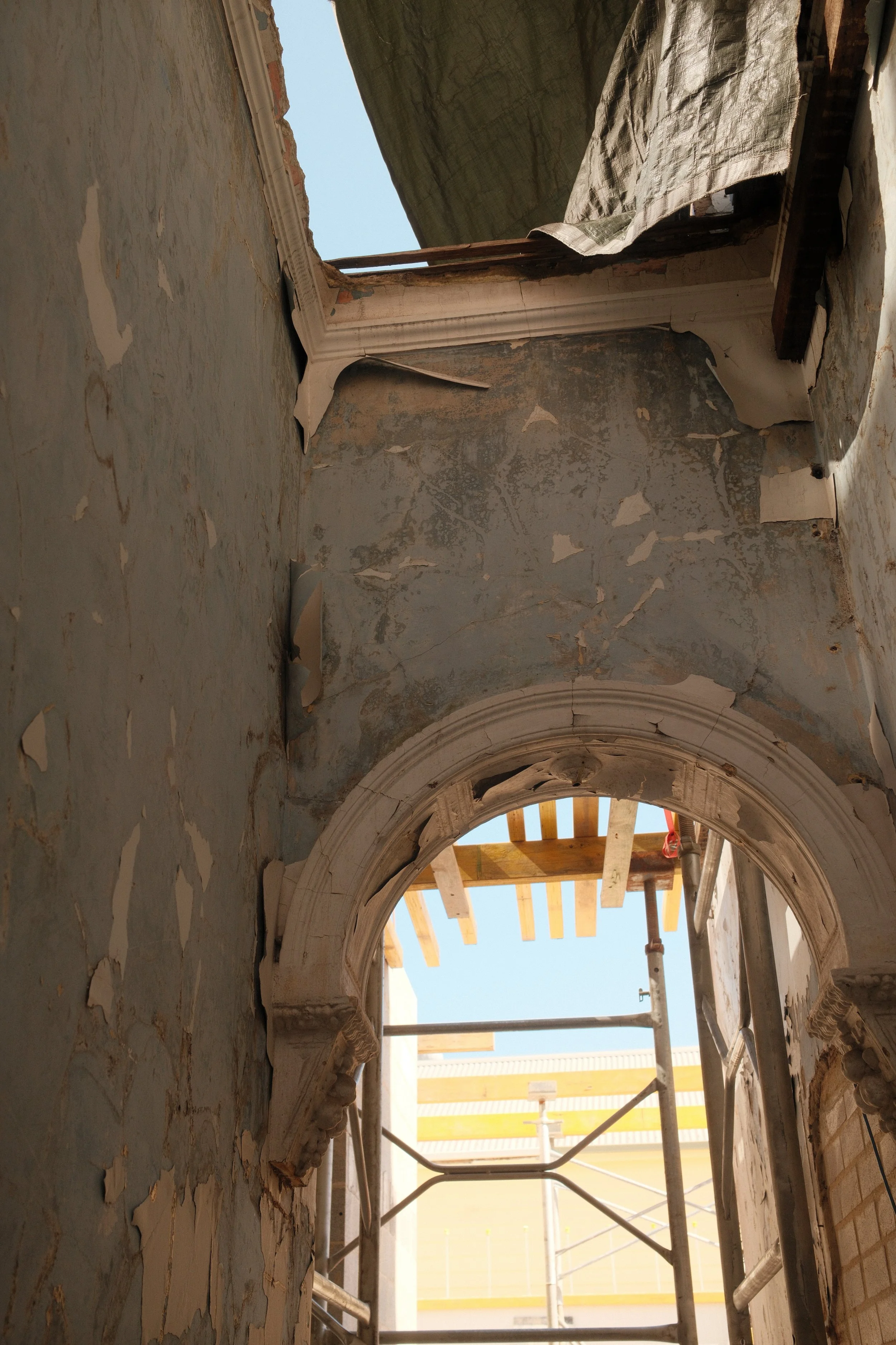 DSCF1220.JPG