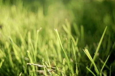 4110025021_15e56ac9d5_b_large.jpg