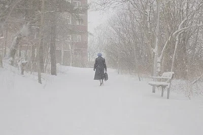 20081204072311.jpg