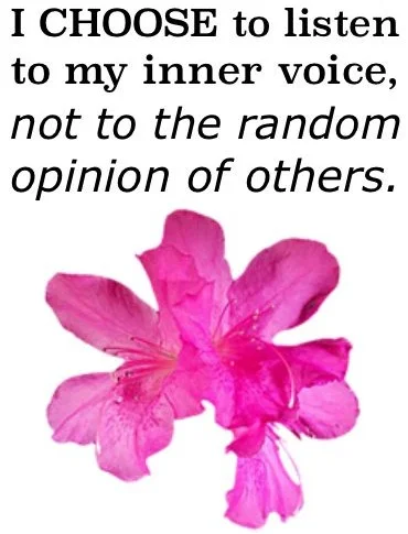 your-inner-voice-is-also-just-a-random-opinion-e1405287152432.jpg