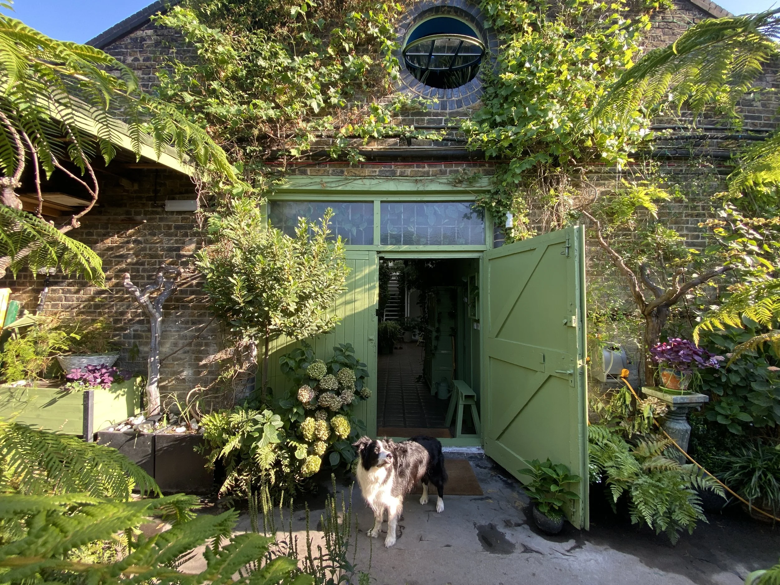 Clapton Tram Terrace.jpg