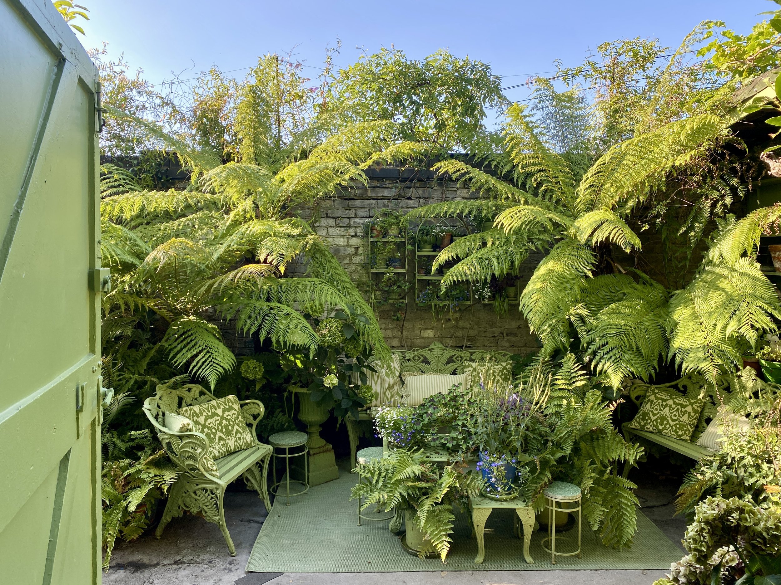 Clapton Tram Terrace 3.jpg