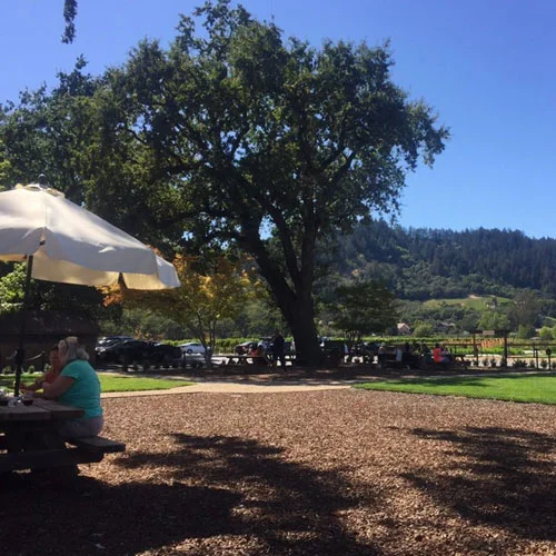 Charles Krug picnic area Napa