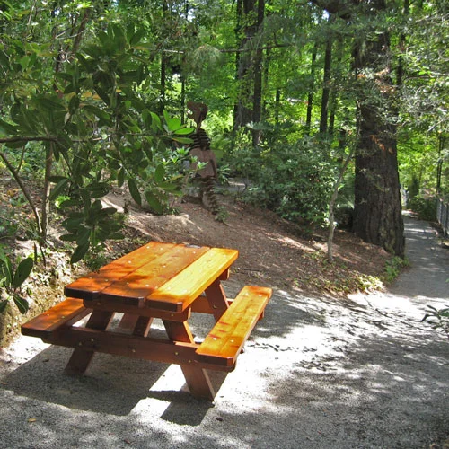 Rombauer Winery Napa picnic area