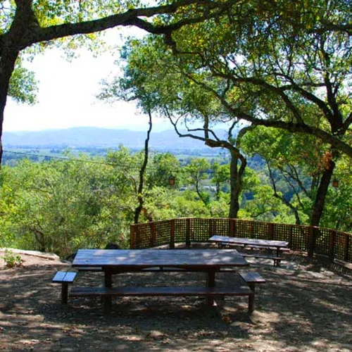 Rutherford Hill Winery picnic area