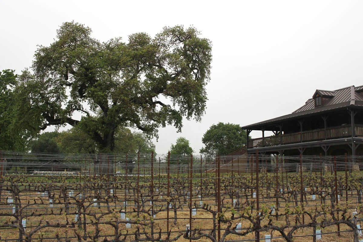 Judd's Hill Winery Napa