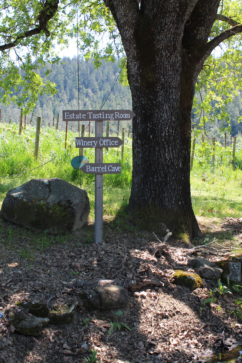 Conn Valley winery Napa
