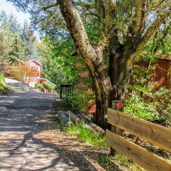 Napa Writers Cottage Airbnb