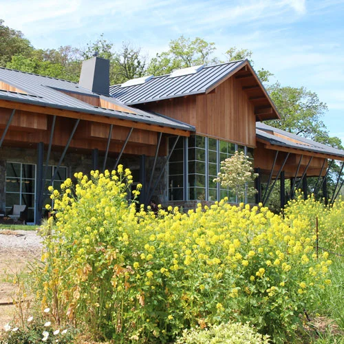 Brian Arden winery
