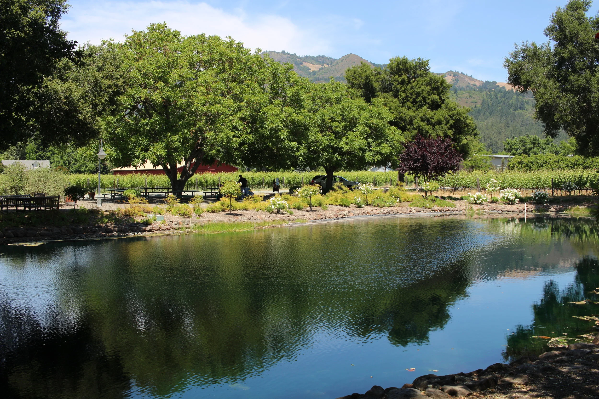 Landmark Vineyards in Sonoma