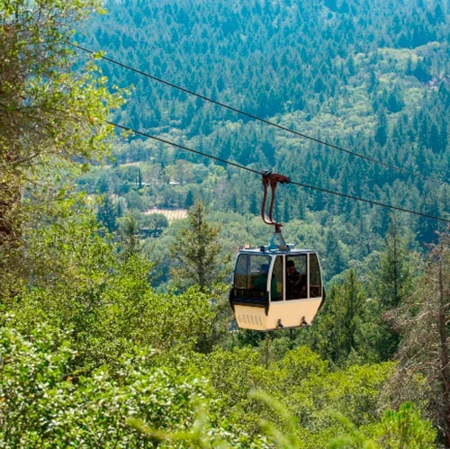Sterling Tram is 2 for 1 with pass! Get the pass to get the free deal.